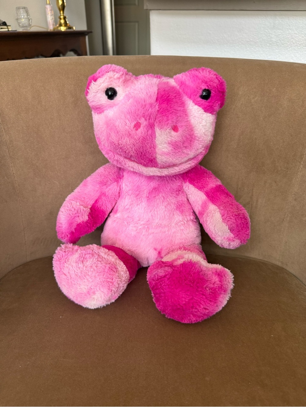 Build a bear frog